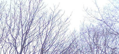 Screenshot_20250216_211433_Gallery.jpg