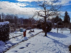 IMG_20250215_120530_edit_1364176039056943.jpg