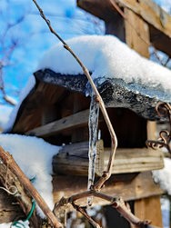 IMG_20250215_120559.jpg