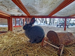 IMG_20250216_101525.jpg