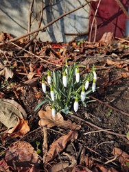 IMG_20250216_105441.jpg