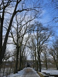 20250216_112228.jpg