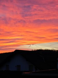 IMG_20250122_080642.jpg