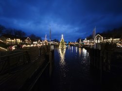 IMG_20241230_170256.jpg
