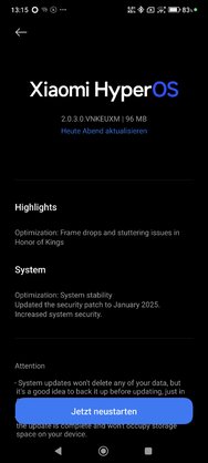 Screenshot_2025-02-17-13-15-07-947_com.android.updater.jpg