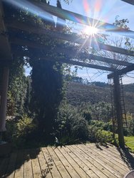 IMG_20250217_134610.jpg