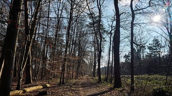 IMG_20250216_140829.jpg
