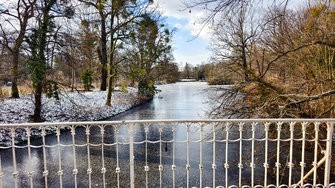 IMG_20250217_150552.jpg