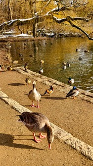 IMG_20250217_150924.jpg