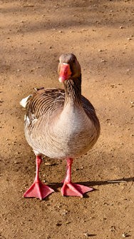 IMG_20250217_151147.jpg