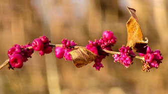 IMG_20250217_152347.jpg