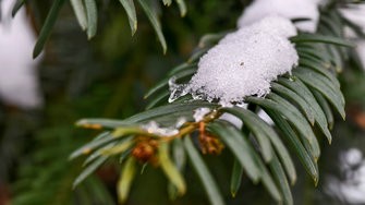 IMG_20250217_154604.jpg