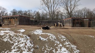 PXL_20250217_120327324.jpg