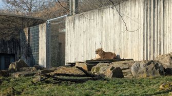 PXL_20250217_130319017.jpg