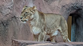 PXL_20250217_131622498~2.jpg
