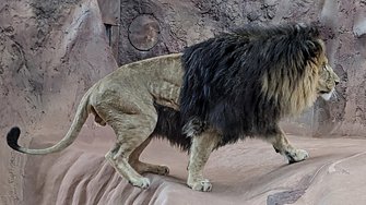 PXL_20250217_131659742~2.jpg
