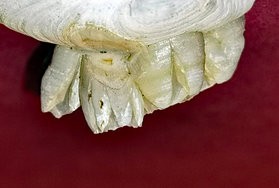 IMG_20250215_185456.jpg