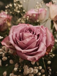 IMG_20250217_220656.jpg