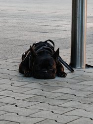 org (2).jpg