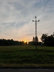 org (3).jpg