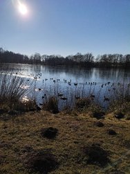IMG_20250218_150059.jpg