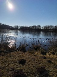 IMG_20250218_150105.jpg