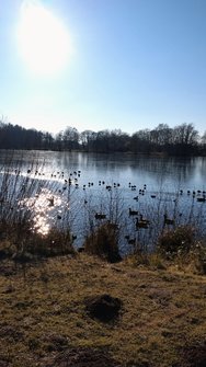 IMG_20250218_150123421_AE.jpg