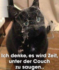 1739899535957.png