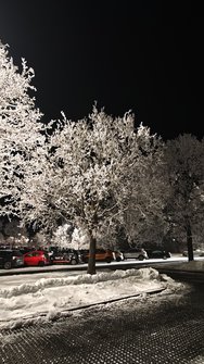 IMG_20250122_055150.jpg