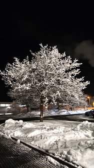 IMG_20250122_055219.jpg