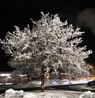 IMG_20250122_060922.jpg