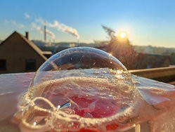 IMG_20250219_081617_DxO.jpg