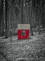 IMG_20250218_171529 (1).jpg