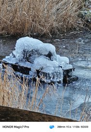 IMG_20250218_235015.jpg