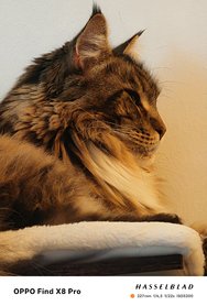 IMG20250123085225.jpg