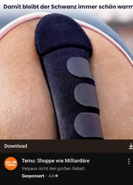 Screenshot_20250219_162605_YouTube.jpg