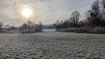 PXL_20250122_084606760.RAW-01.COVER.jpg