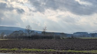 PXL_20250213_133959010.RAW-01.COVER.jpg