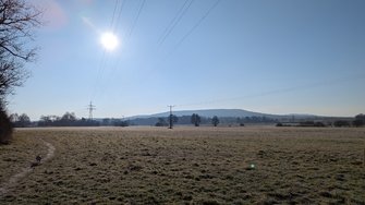 PXL_20250217_083932315.RAW-01.COVER.jpg
