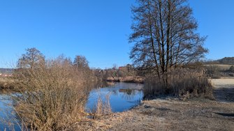 PXL_20250219_082419350.RAW-01.COVER.jpg