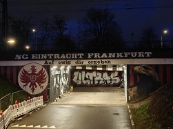 IMG20250129175932.jpg