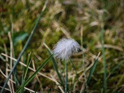 IMG_20250219_154917.jpg