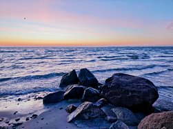 IMG_20250220_070627~2.jpg
