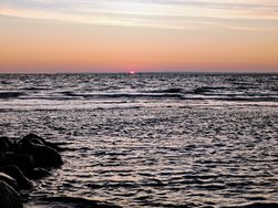 IMG_20250220_072617.jpg