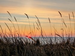 IMG_20250220_072816~2.jpg