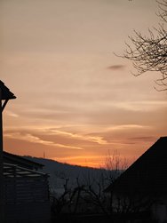 IMG_20250220_074002.jpg