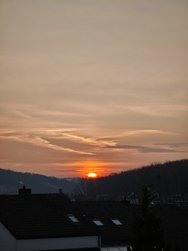 IMG_20250220_074420.jpg