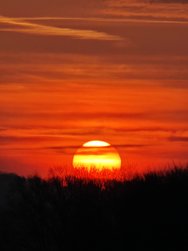 IMG_20250220_074443.jpg