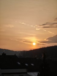 IMG_20250220_075518.jpg