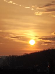 IMG_20250220_075524.jpg